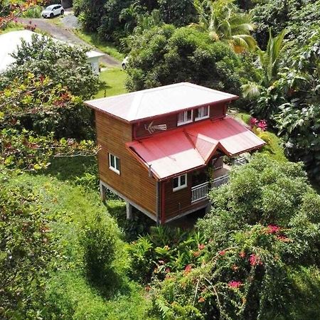 Mahogany Lodge - Oasis Cosy Rivière-Pilote Exterior foto