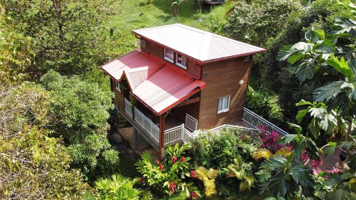 Mahogany Lodge - Oasis Cosy Rivière-Pilote Exterior foto