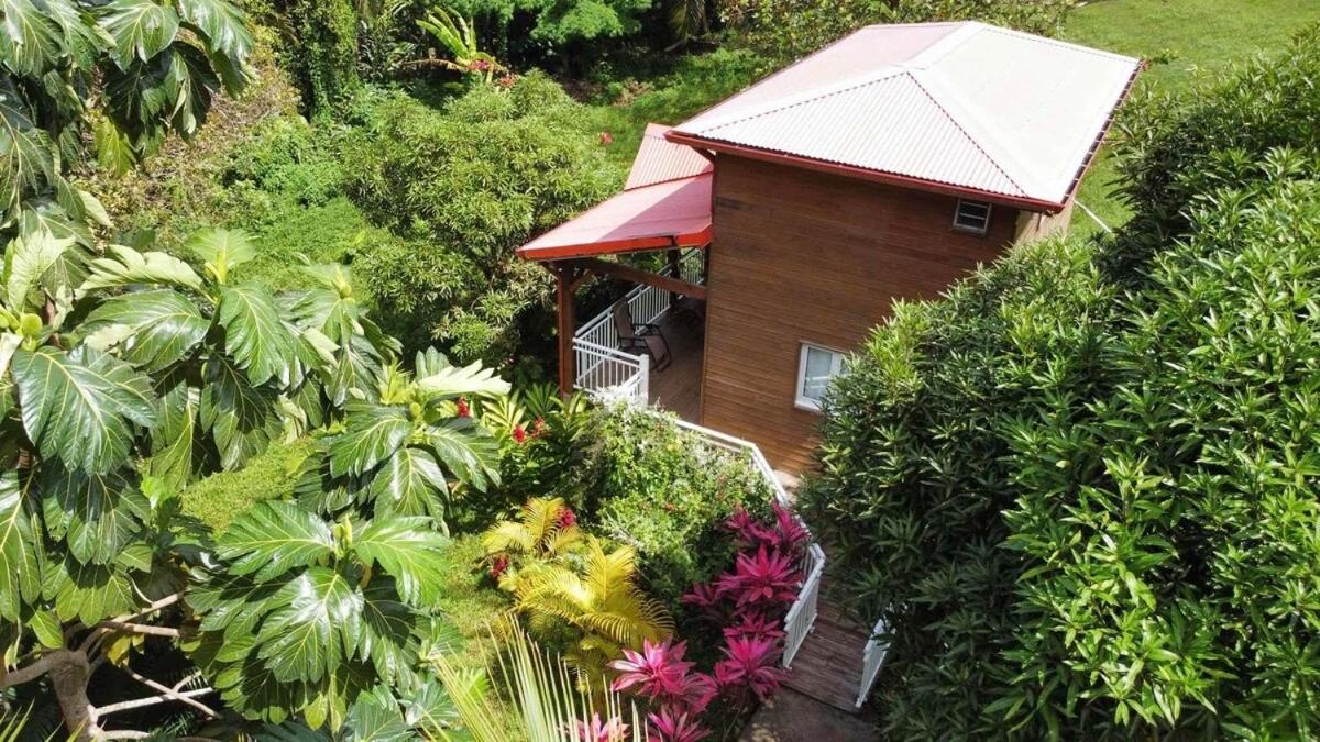 Mahogany Lodge - Oasis Cosy Rivière-Pilote Exterior foto